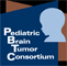 PBTC Logo