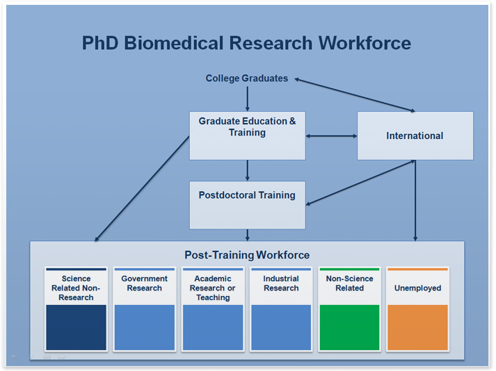 Figure 19: Conceptual Framework of the PhD Biomedical Research Workforce