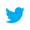 twitter bird icon