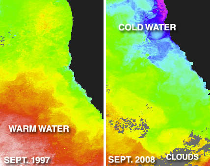 The image shows temperatures off the coast of California in September of 1997 (El Nino).