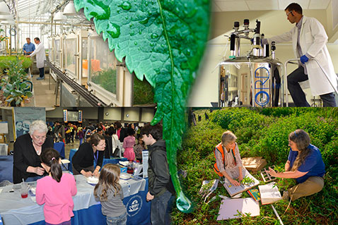 Two men in a greenhouse, researcher using nuclear magnetic resonance for metabolomics research, two women collecting environmental samples,  research shared at an engineering festival