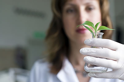 scientist with plant