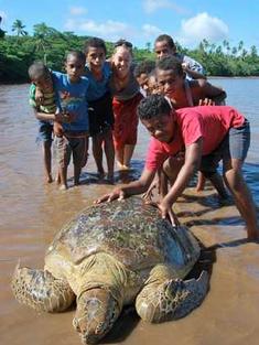 Josua Muakula and a marine turtle