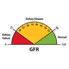 A speedometer-like dial shows GFR results of 0 to 15 in red as kidney failure, 15 to 60 in yellow as kidney disease, and 60 to 120 in green as normal