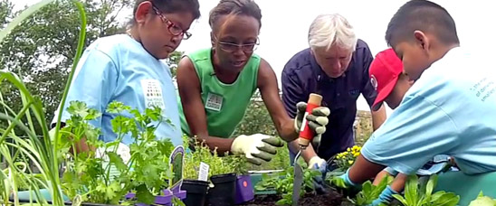A mobile planter is a practical solution for a school that would like to garden but has limited green space. Watch this instructional video to learn how to build one.