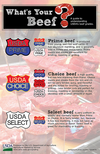 Infographic (click to see larger version) outlining the differences between USDA’s beef grades.