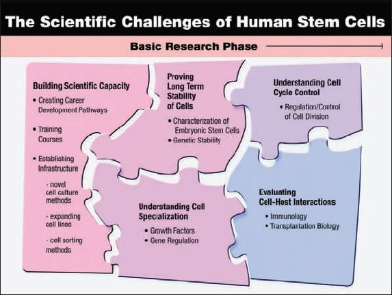 The figure illustrating pieces of a puzzle together showing the scientific capacity needs to be built, an understanding of the molecular mechanisms that drive cell specialization needs to be advanced, the nature and regulation of interaction between host and transplanted cells needs to be explored and understood