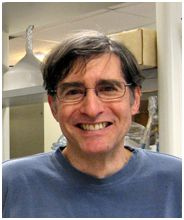 Photo of Professor Robert Cohen