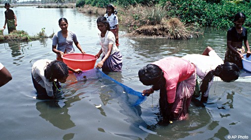 Women participate in farm science training near Cochin, India, undated. [UNFAO/ AP File Photo]