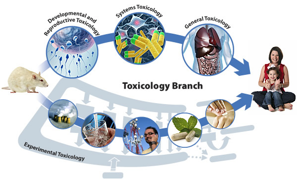 Toxicology Branch