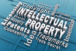 Word cloud of intellectual property terms