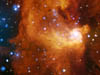 region showing active star formation