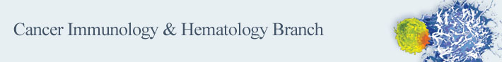 Cancer Immunology and Hematolgy Branch banner