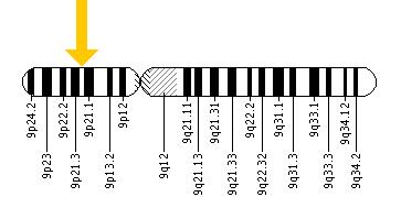 The C9orf72 gene is located on the short (p) arm of chromosome 9 at position 21.2.