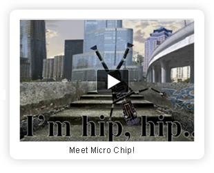Meet Micro Chip!