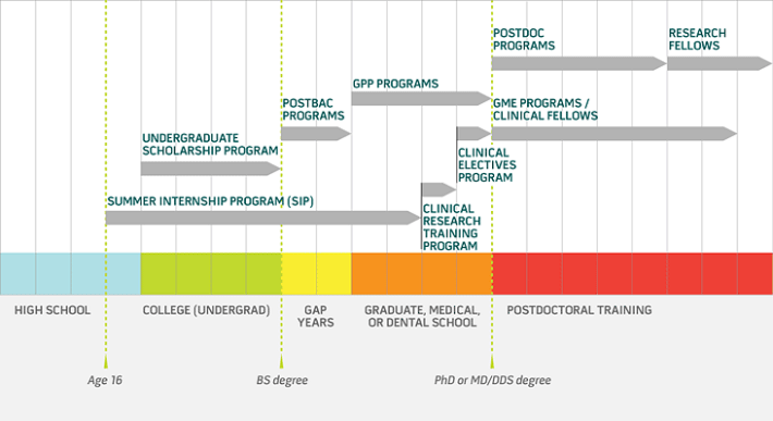 Chart showing Intramural Research Program training programs based on stages of education