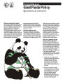 Giant panda policy: questions and answers
