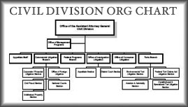 Civil Division Organization Chart
