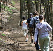 Image of teens hiking through the woods