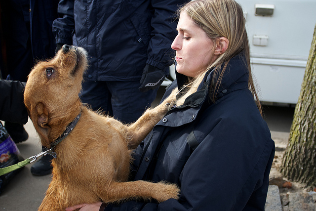 Image description: A member of a Department of Health and Human Services National Veterinary Response Team examines a dog belonging to a Hurricane Sandy survivor in Rockaway, N.Y.
Photo by Eliud Echevarria, FEMA