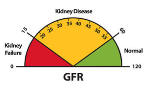 A graphic of a speedometer-like dial that depicts GFR results of 0 to 15 as kidney failure, 15 to 60 as kidney disease, and 60 to 120 as normal kidney function.