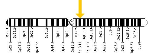 The CASR gene is located on the long (q) arm of chromosome 3 at position 13.