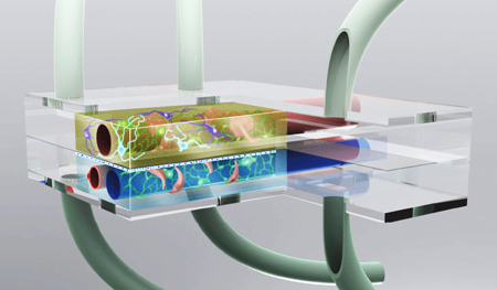 Artist’s conception of the microbrain bioreactor.