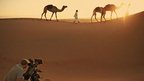 Filming camels crossing a desert