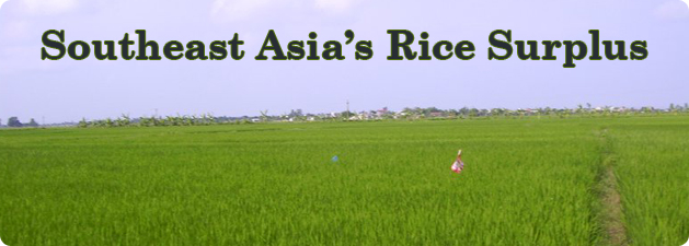 Southeast Asia dominates the world's rice trade as the leading source of rice exports.
