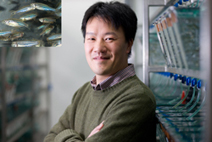 Michael Tsang, Ph.D.