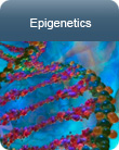 Epigenetics