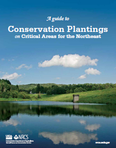 Cover of the publication A guide to Conservation Plantings on Critical Areas for the Northeast