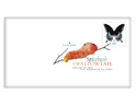 Spicebush Swallowtail Digital Color Postmark