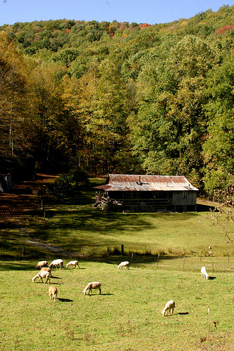 The Corum family farm, where stewardship is a way of life. 