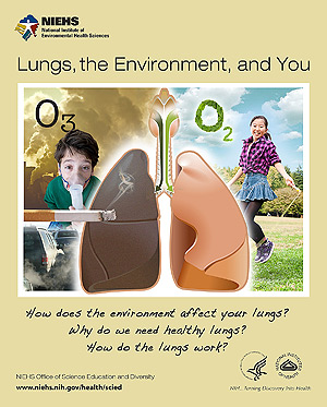 NIEHS Poster on lung health