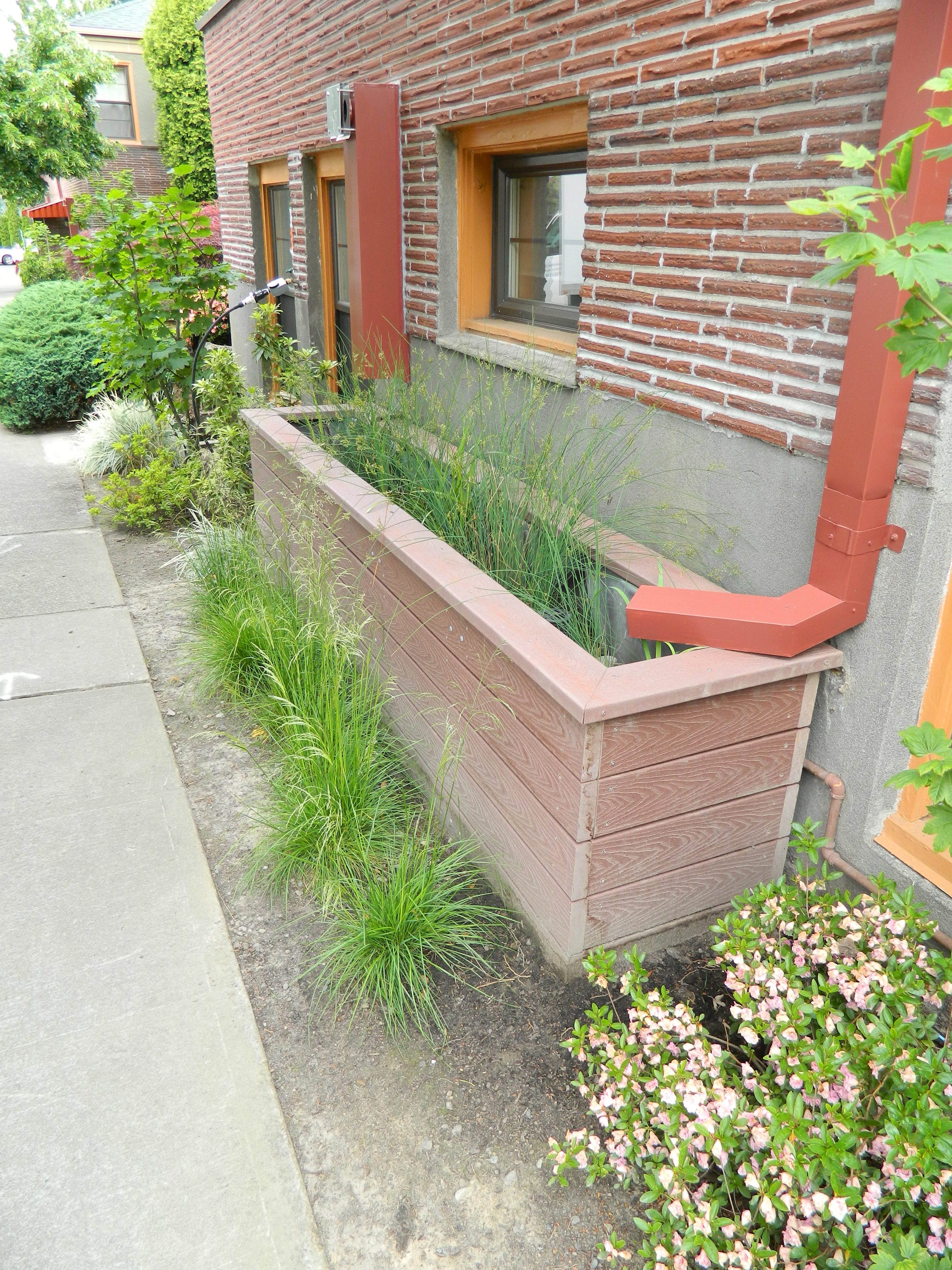 Downspout Disconnection Stormwater Planter