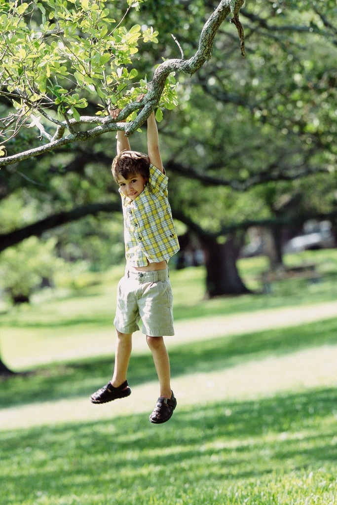 Child Swinging on Tree