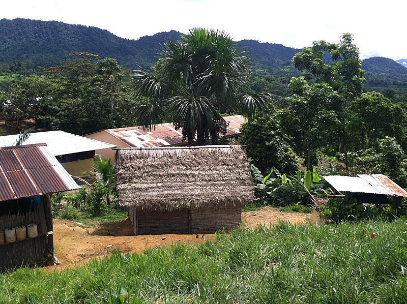 Typical houses from Amazonian communities in the Bagua Province of Peru.