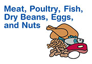 Graphic image of meat, poultry, fish, dry beans, eggs, and nuts