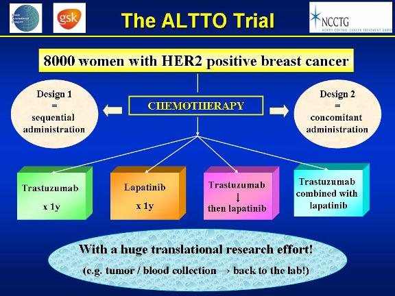 Randomization schema for patients on the ALTTO trial