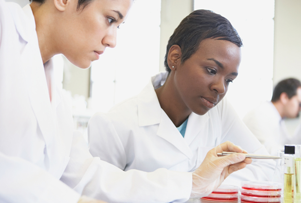 Researchers with petri dishes and test tubes.