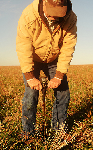 Byers, Tex. farmer Tommy Henderson inserts a soil pressure probe in his no-till dryland wheat field to test how loose his soils are and for soil moisture. The full length of this two-foot probe easily goes into the soil.