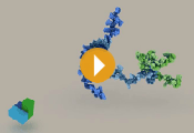DNA Bricks - Molecular Animation