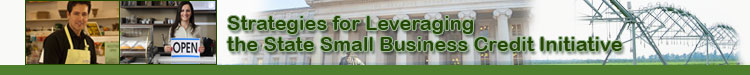 Banner for Small Business Credit Initiative