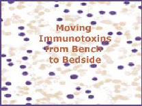 Moving immunotoxins from bench to bedside