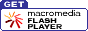 Get Flash button