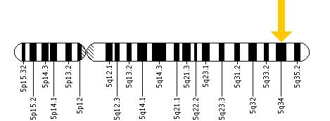 The GABRA1 gene is located on the long (q) arm of chromosome 5 at position 34.