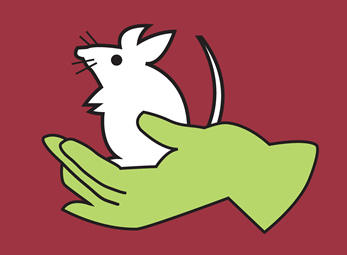 drawing of hand holding mouse