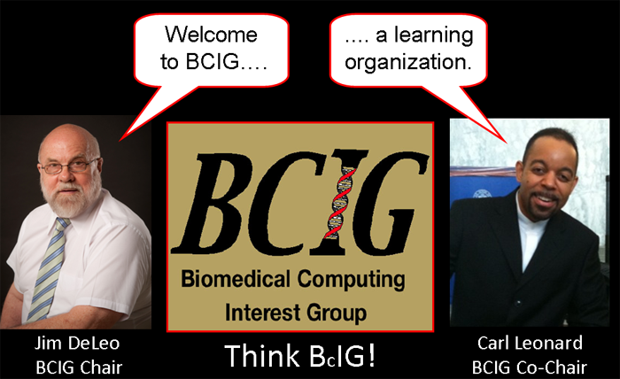 Welcome to BCIG
