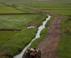 North Korean farmers sit in a wagon on the outskirts of Pyongyang